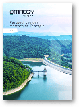 omnegy_rapport_perspectives_2025 omnegy_rapport_perspectives_2025